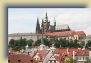 Prague-Jul07 (266) * 2496 x 1664 * (1.87MB)